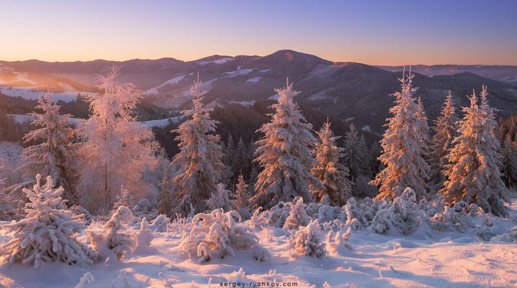 Панорама зимових Карпат